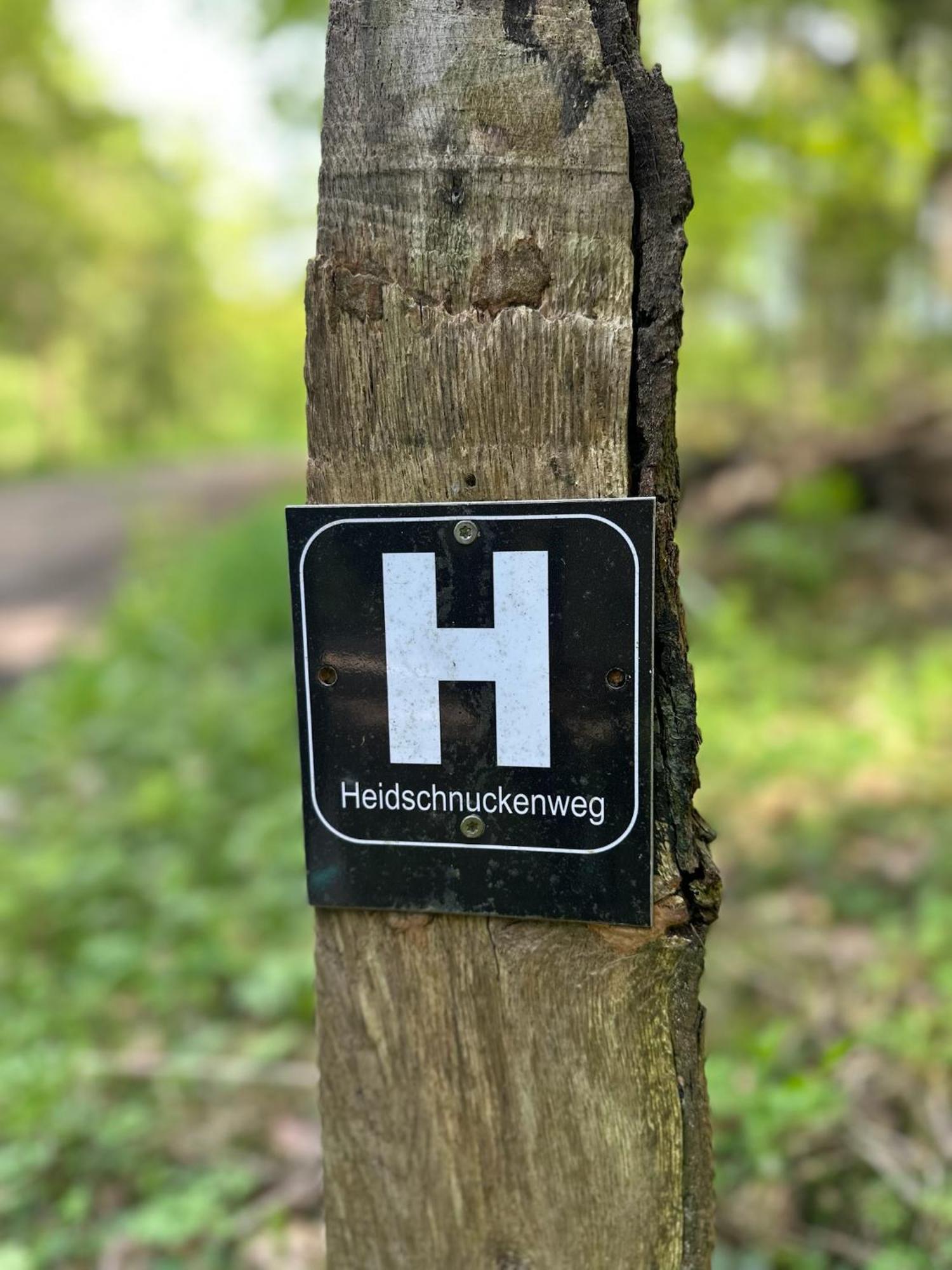 Traumferienwohnung in der Lüneburger Heide Soltau Exterior foto